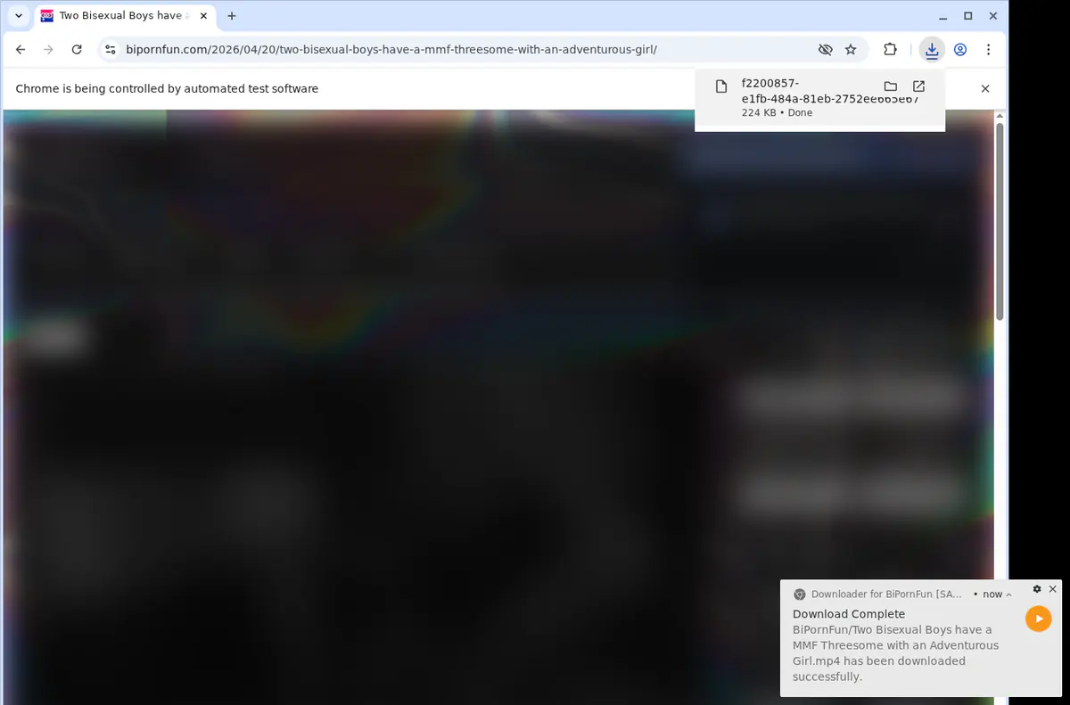 Bipornfun Video Downloader screenshot 2