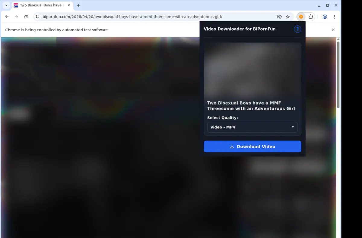 Bipornfun Video Downloader screenshot 3